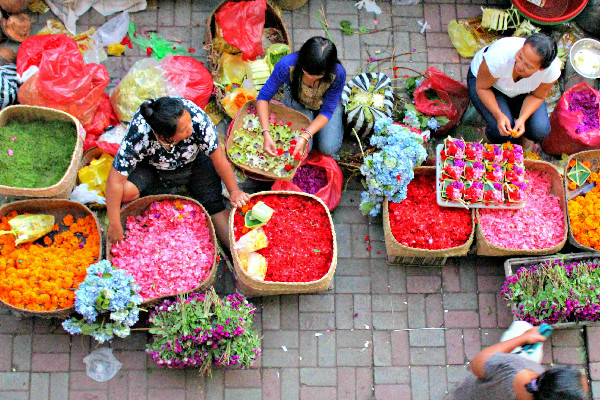 Sanur Cheap Accommodation, Sanur Cheap Hostels, Sanur Cheap Motels, Sanur Cheap Hotel, Holiday in Sanur, Sanur Package Deals, Sanur Family Accommodation, Family Accommodation Sanur, The Bali Bubble, Cheap Accommodation Sanur, Cheap Hotel Sanur, Family Friendly Accommodation Sanur, Affordable Accommodation Sanur, Hotel Sanur, Motel Sanur, The Bali Bubble, Luxury Accommodation Sanur, Bali Accommodation, Bali hotel, Sanur Hotel